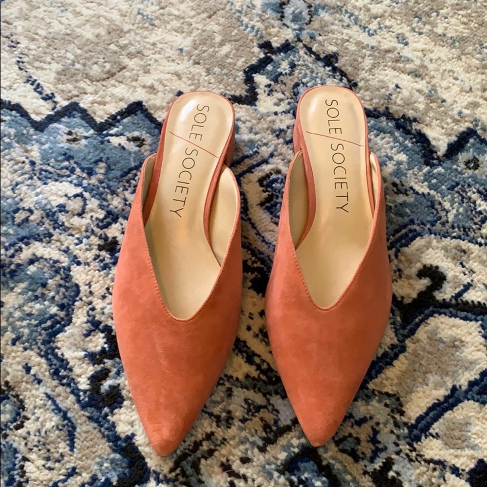 Brand new Sole Society mule